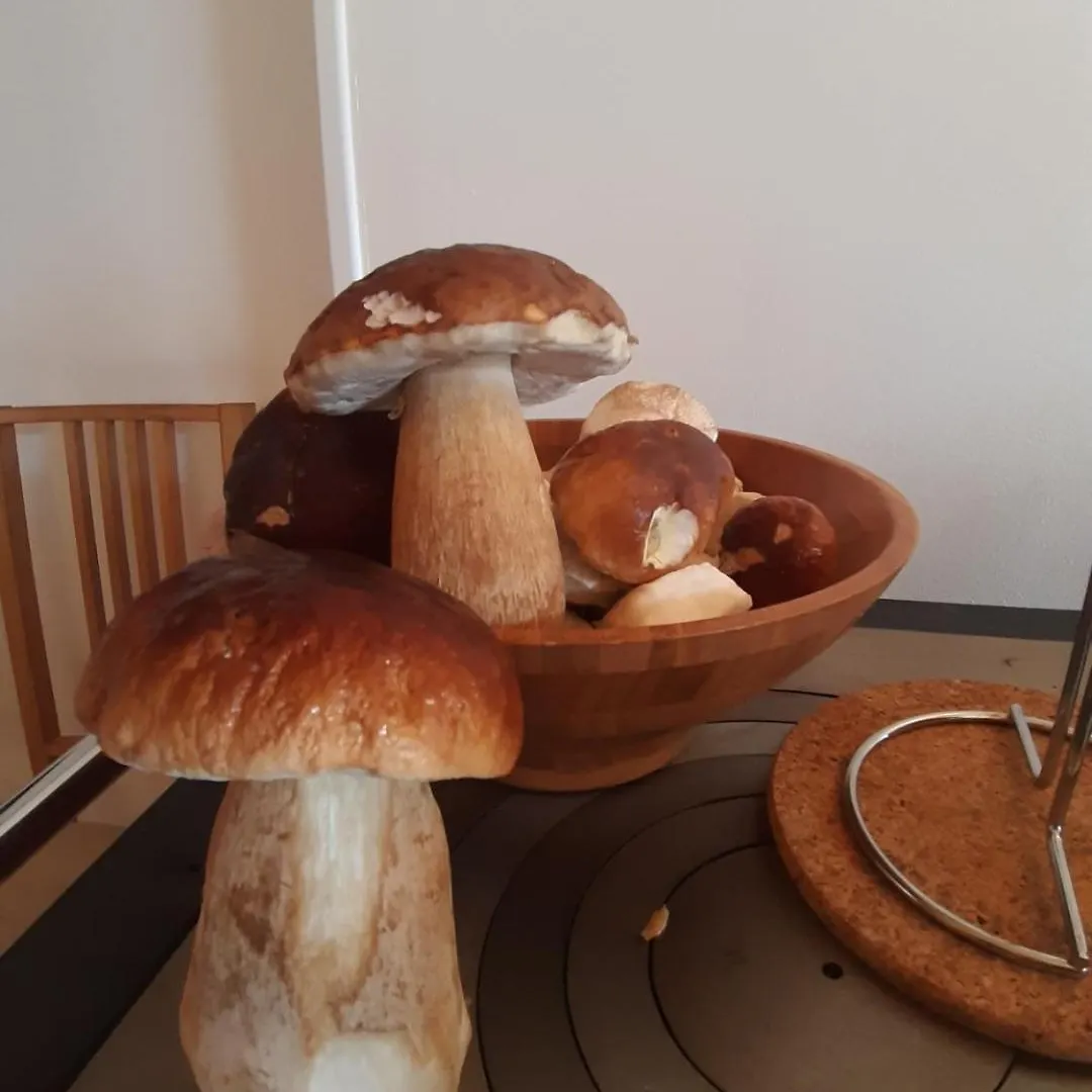 Gite Le Petit Nice Pradelles Holiday home